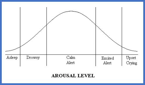 Arousal Level Curve 2